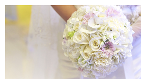 スペシャルフェア